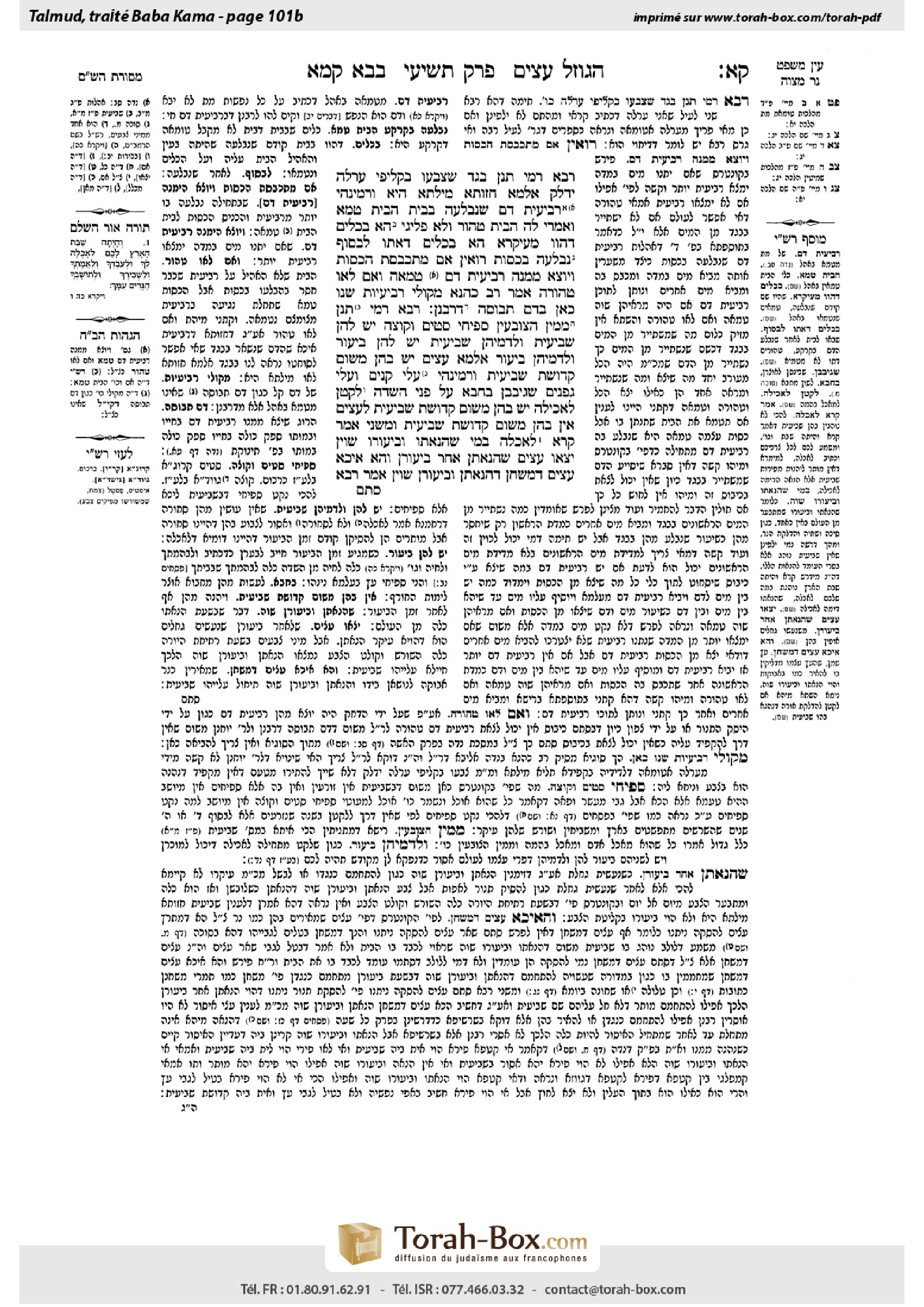 Torah-Box scan of Bava Kamma 101b