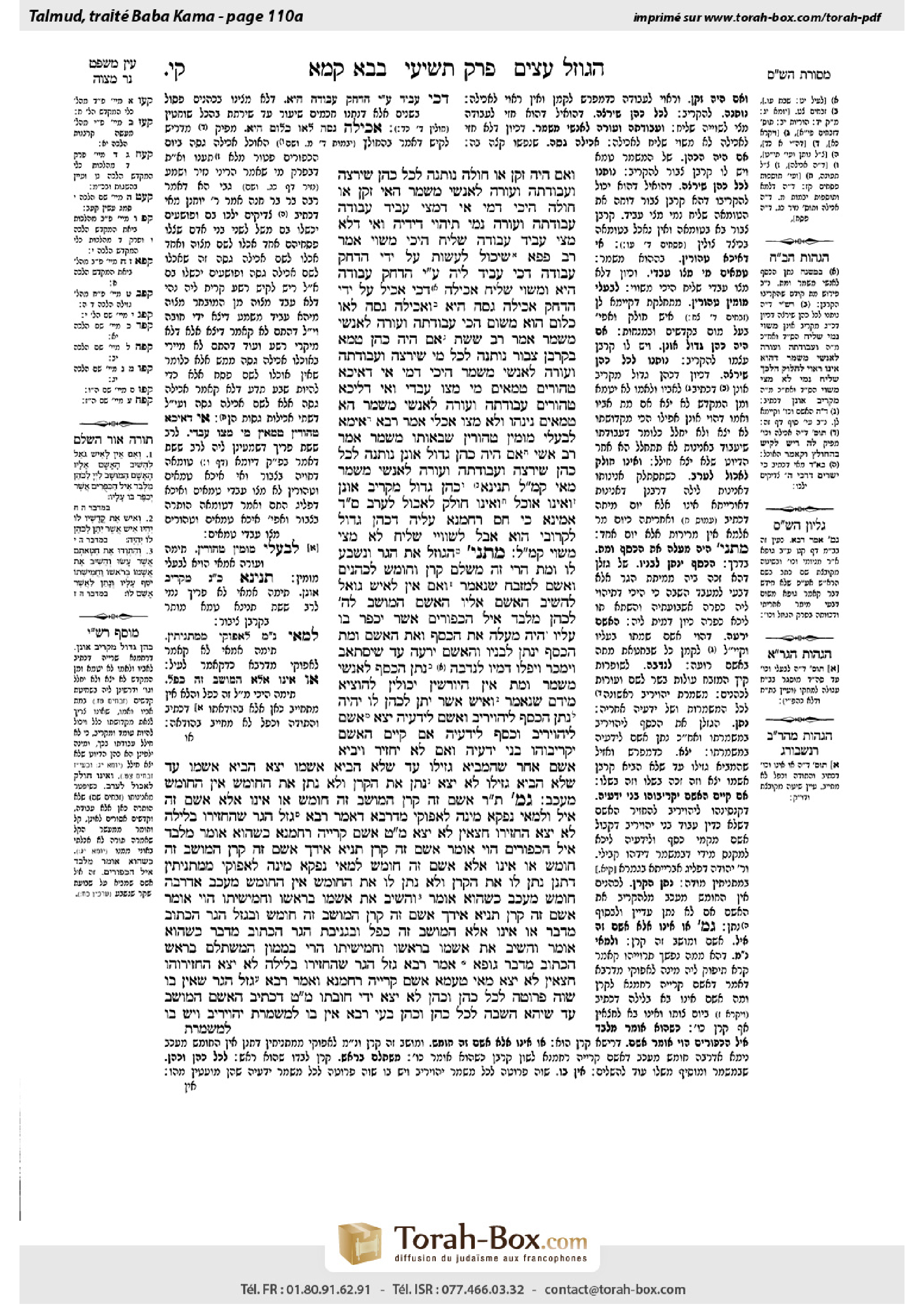 Torah-Box scan of Bava Kamma 110a