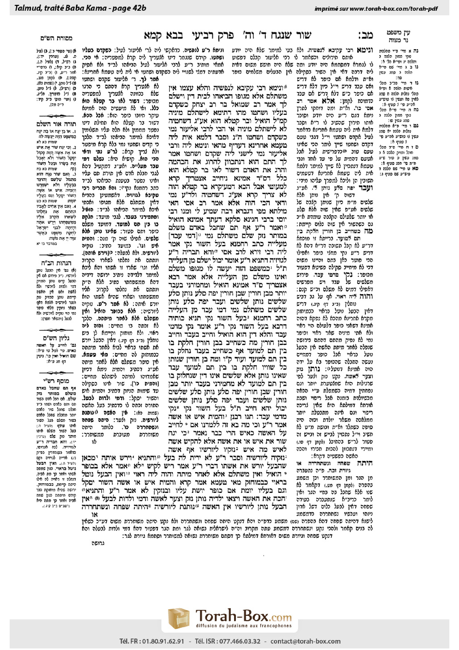 Torah-Box scan of Bava Kamma 42b