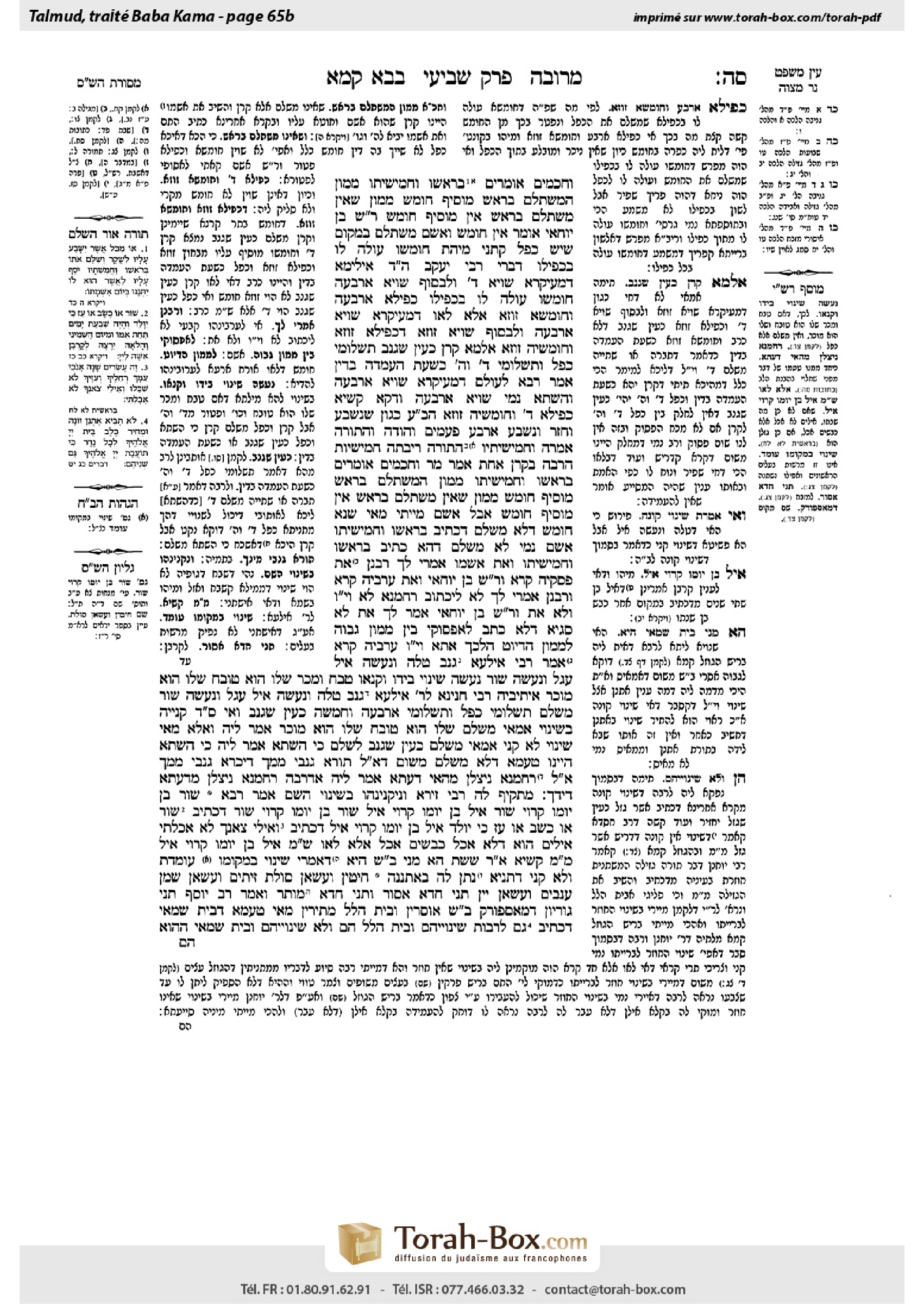 Torah-Box scan of Bava Kamma 65b