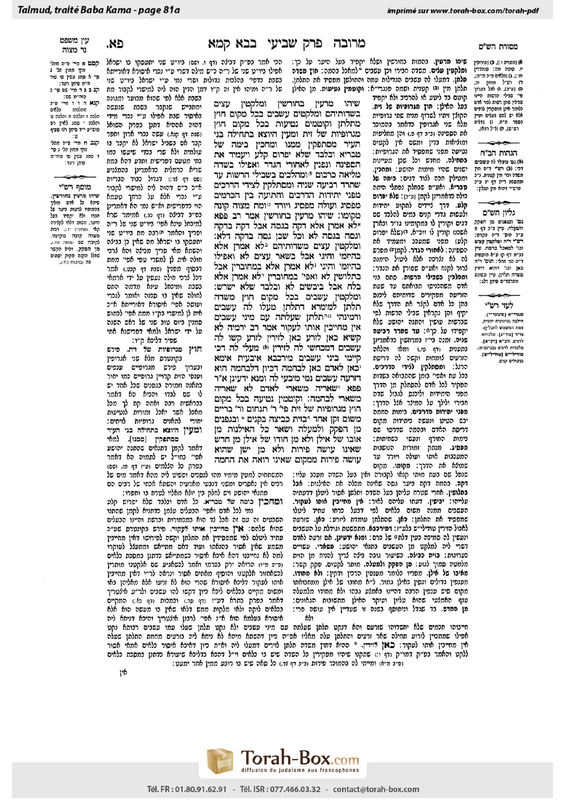 Torah-Box scan of Bava Kamma 81a