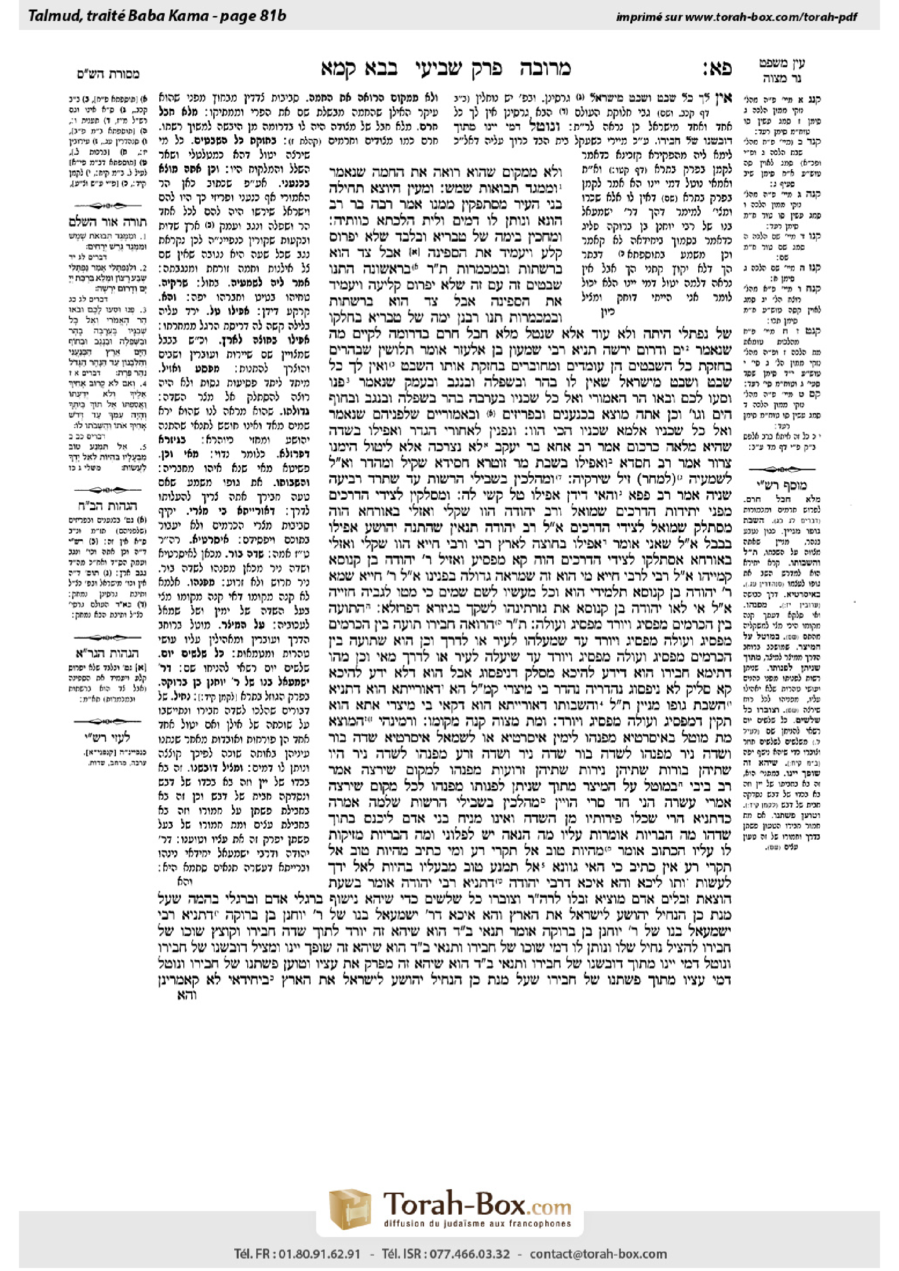 Torah-Box scan of Bava Kamma 81b