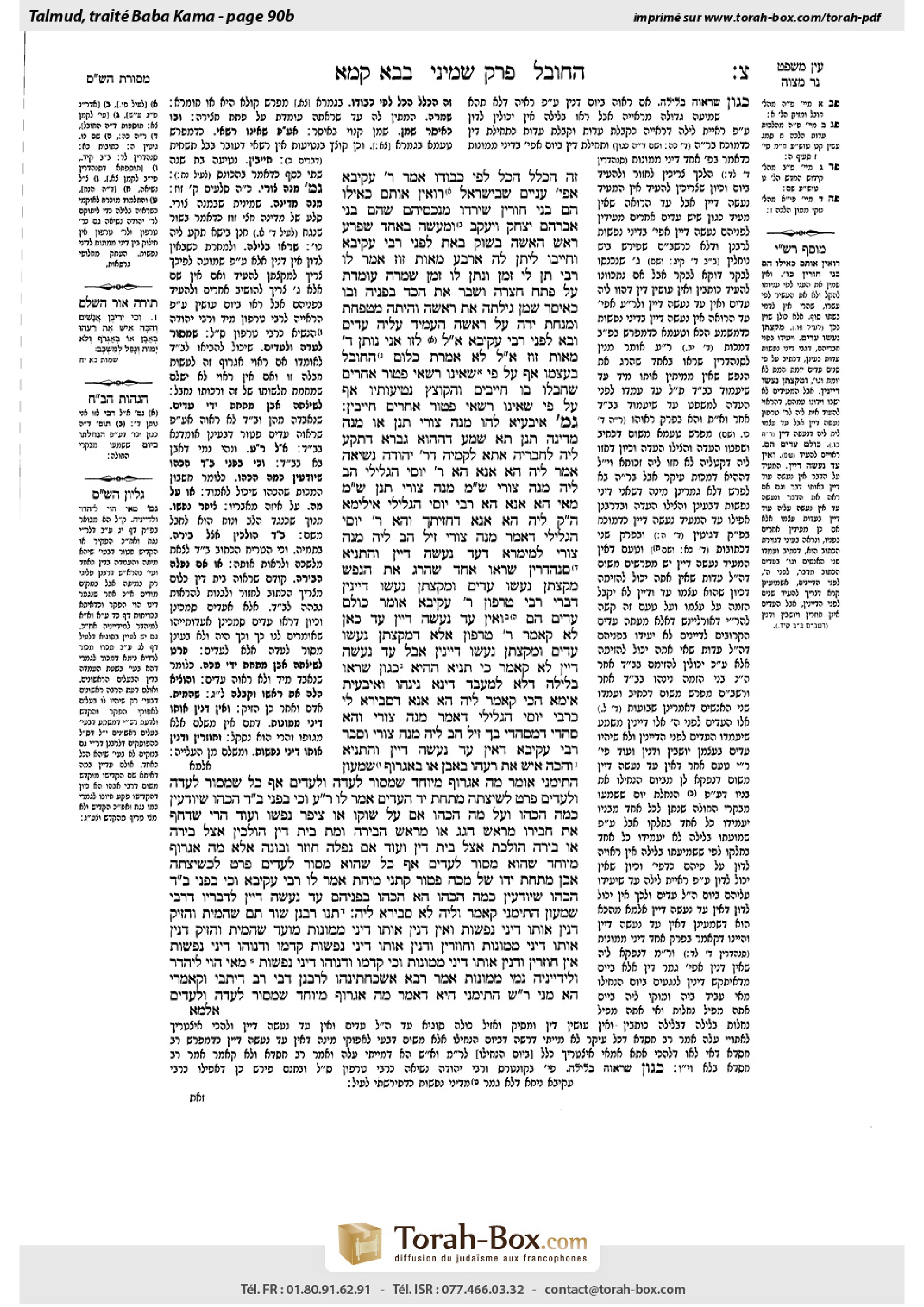 Torah-Box scan of Bava Kamma 90b