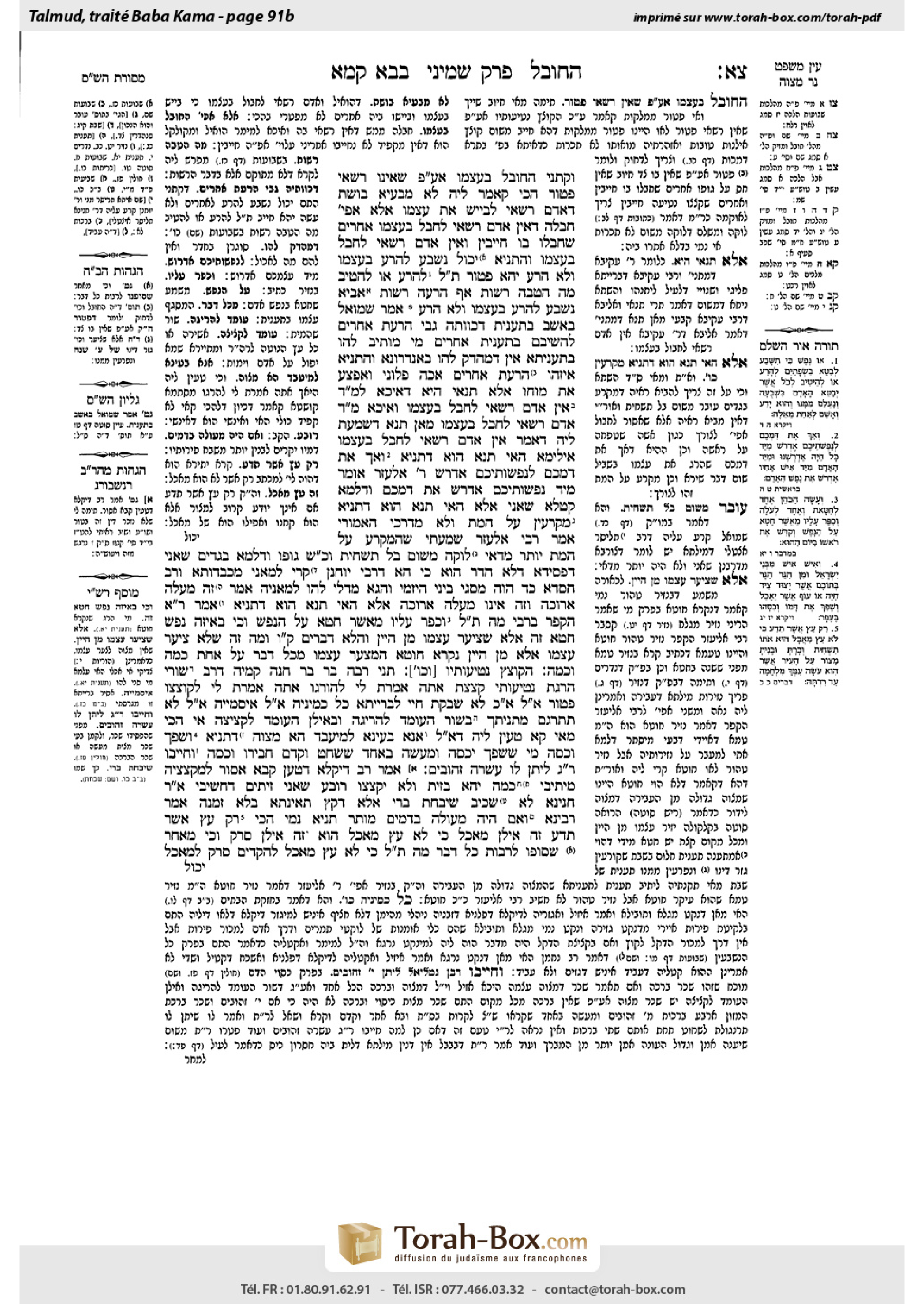 Torah-Box scan of Bava Kamma 91b