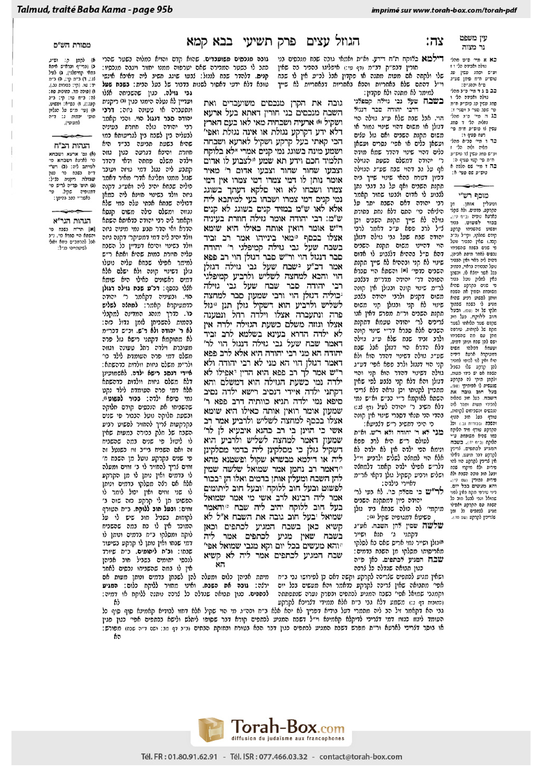 Torah-Box scan of Bava Kamma 95b