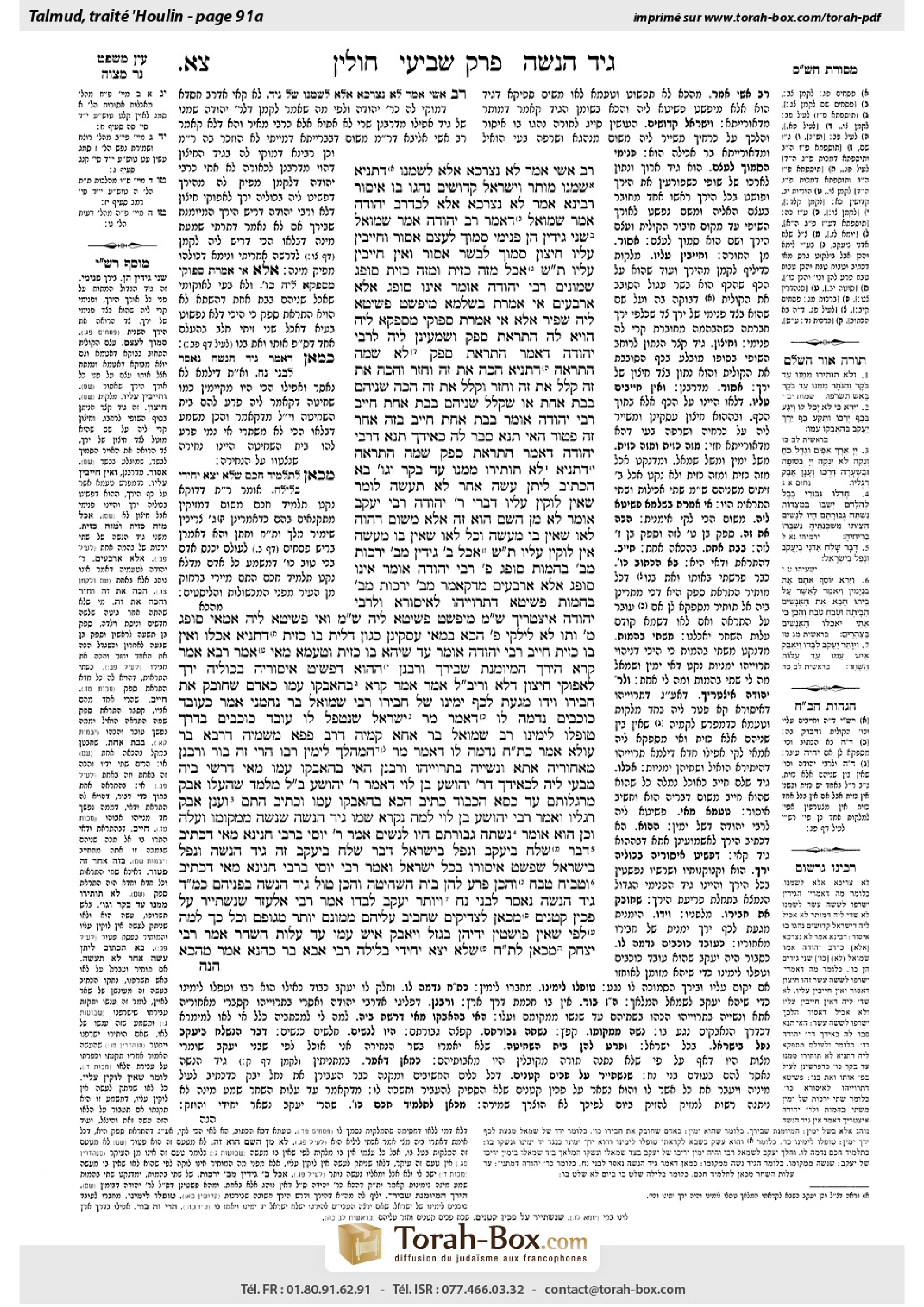 Torah-Box scan of Chullin 91a
