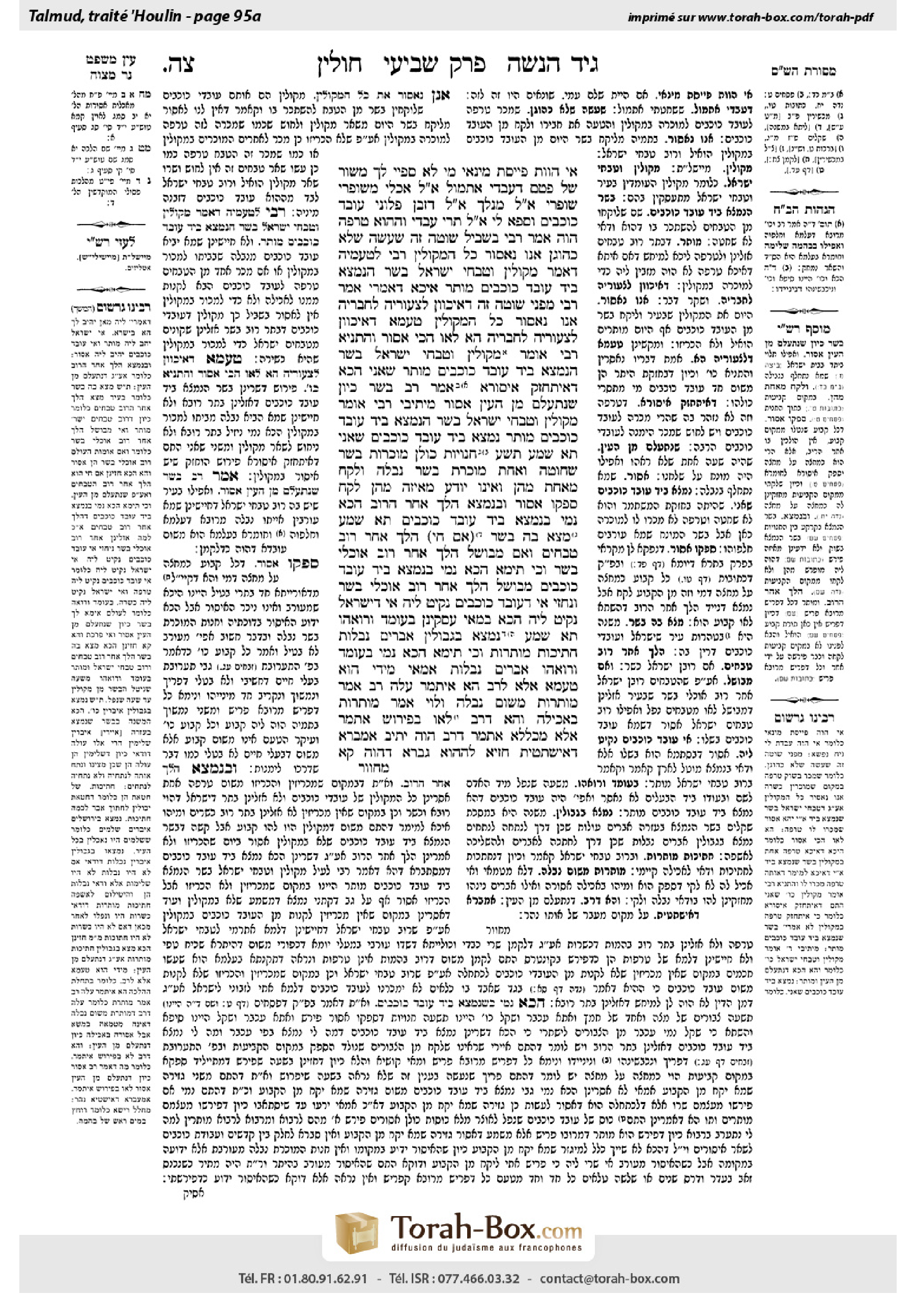 Torah-Box scan of Chullin 95a