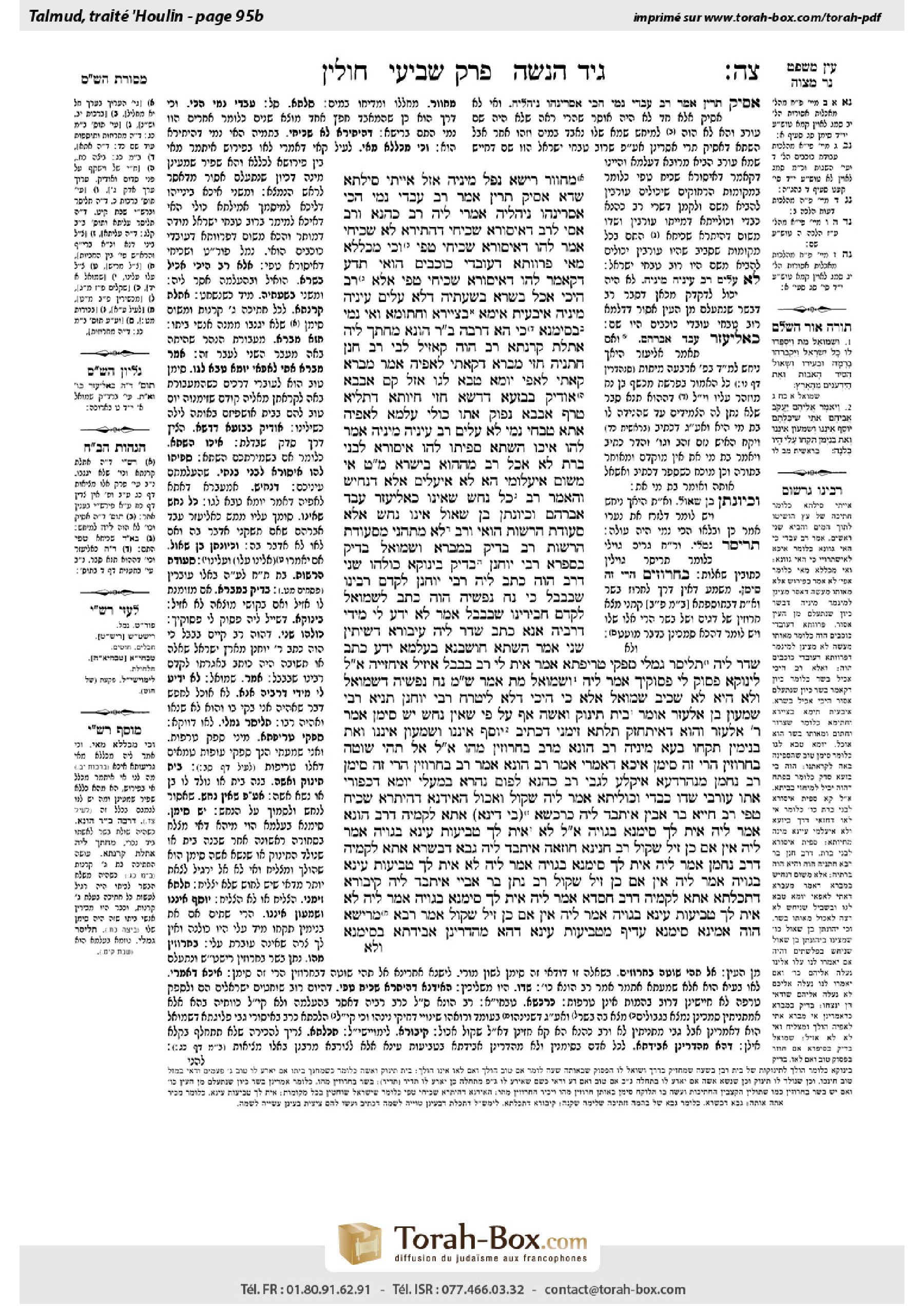 Torah-Box scan of Chullin 95b
