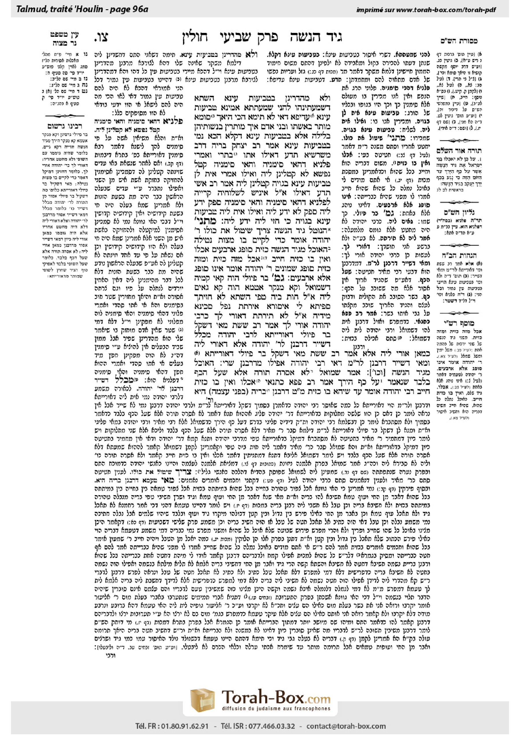Torah-Box scan of Chullin 96a