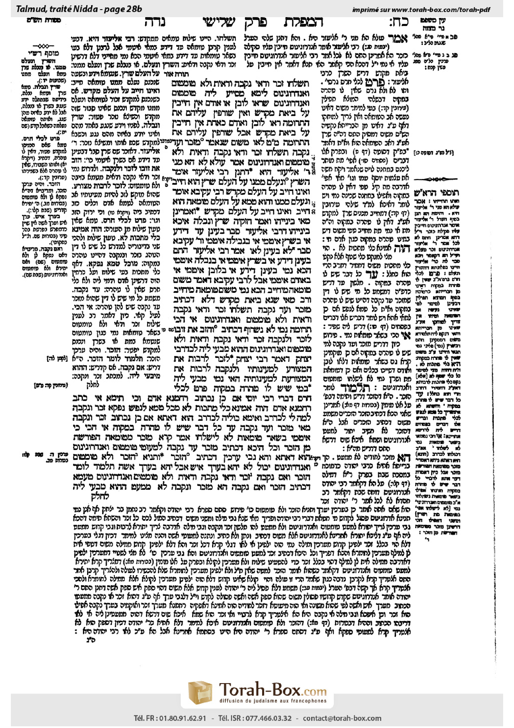 Torah-Box scan of Niddah 28b