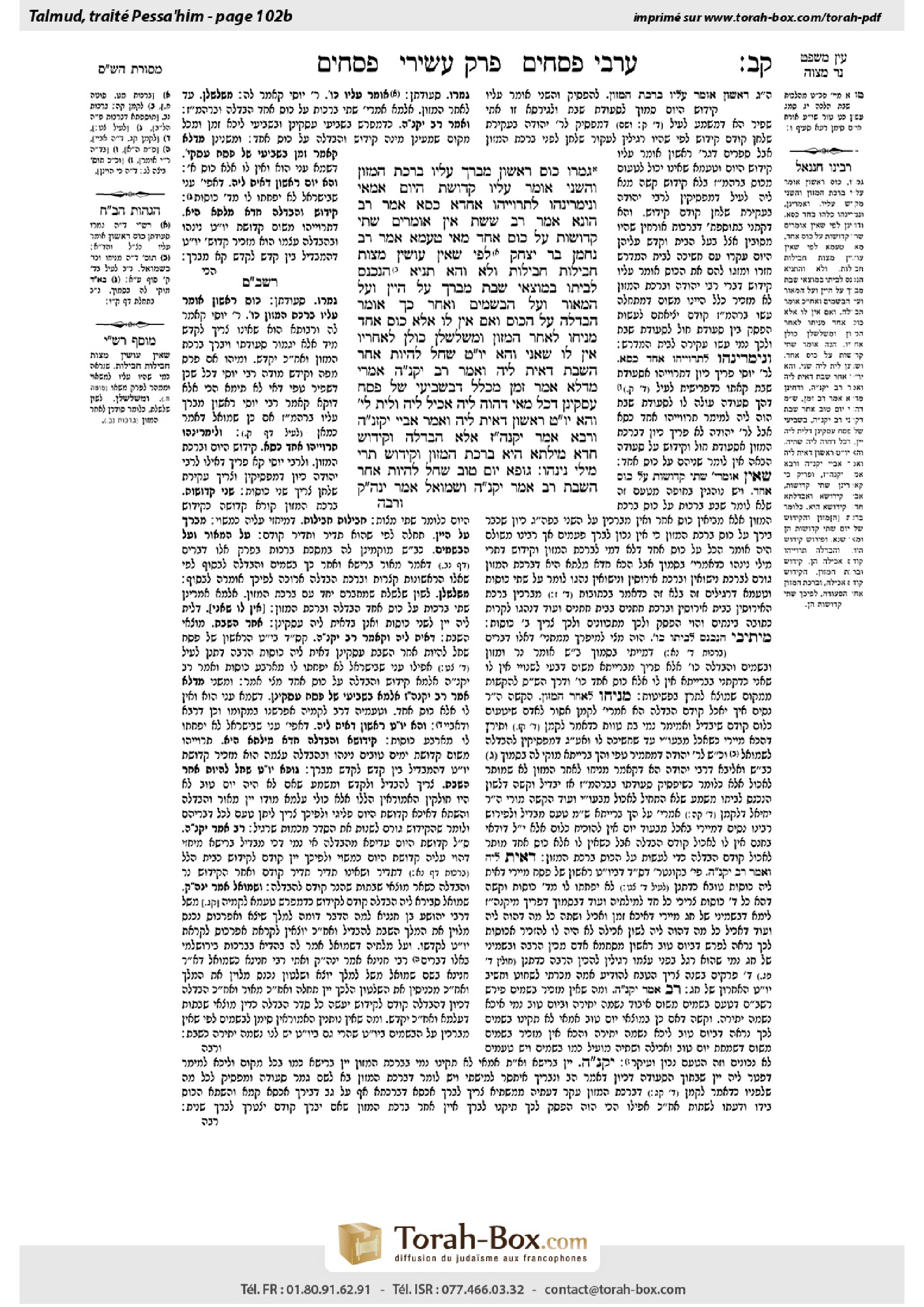 Torah-Box scan of Pesachim 102b