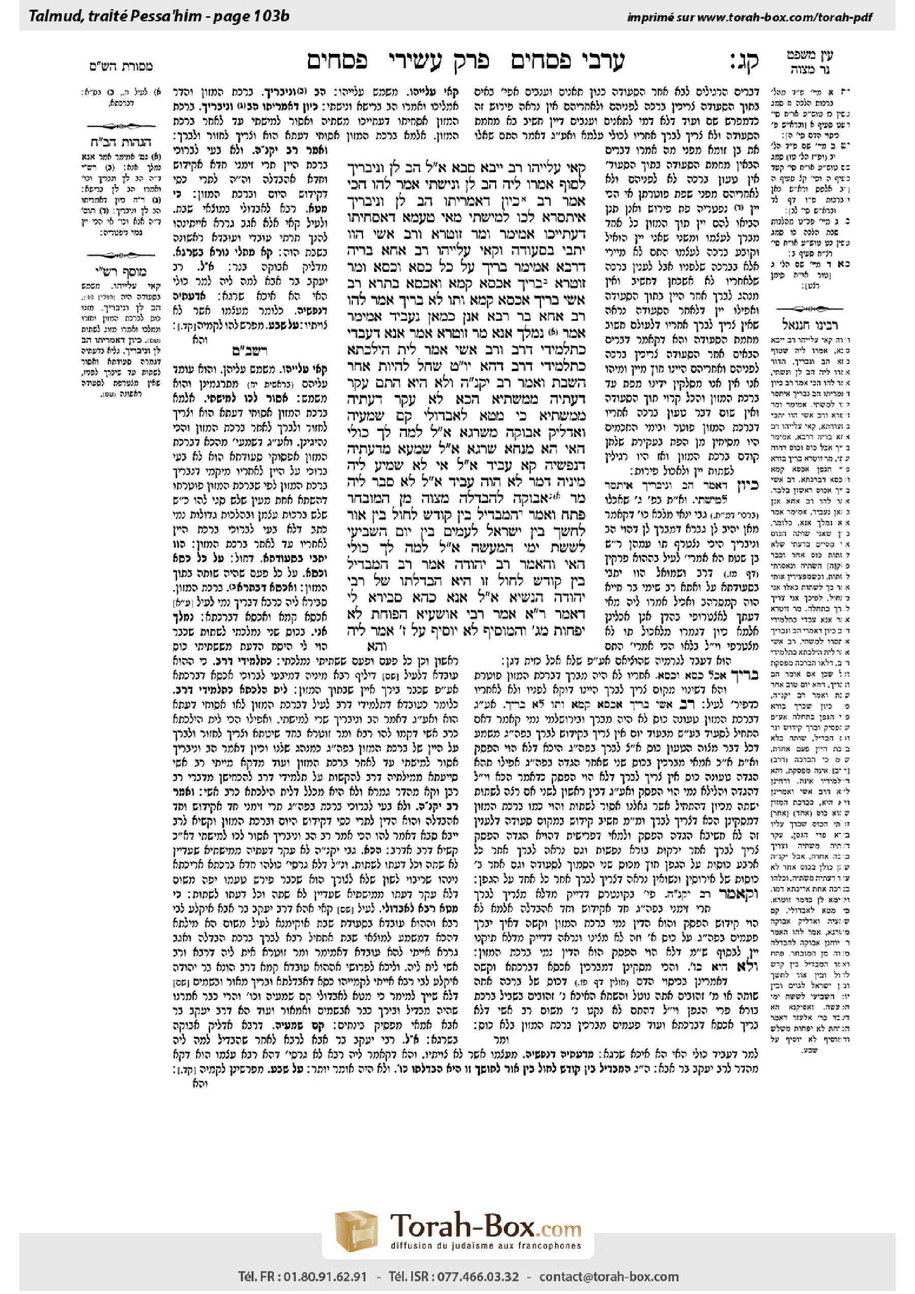 Torah-Box scan of Pesachim 103b