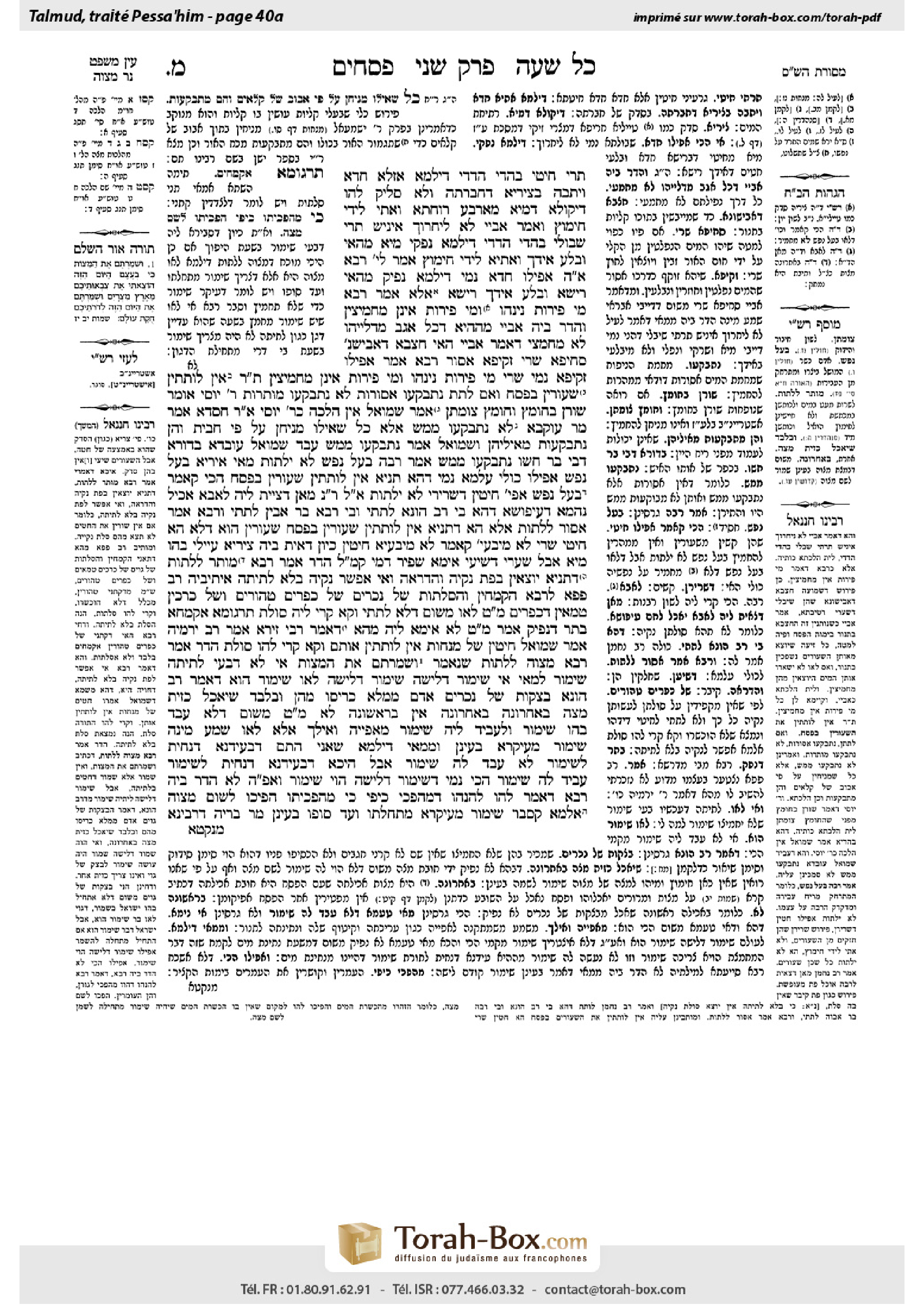 Torah-Box scan of Pesachim 40a