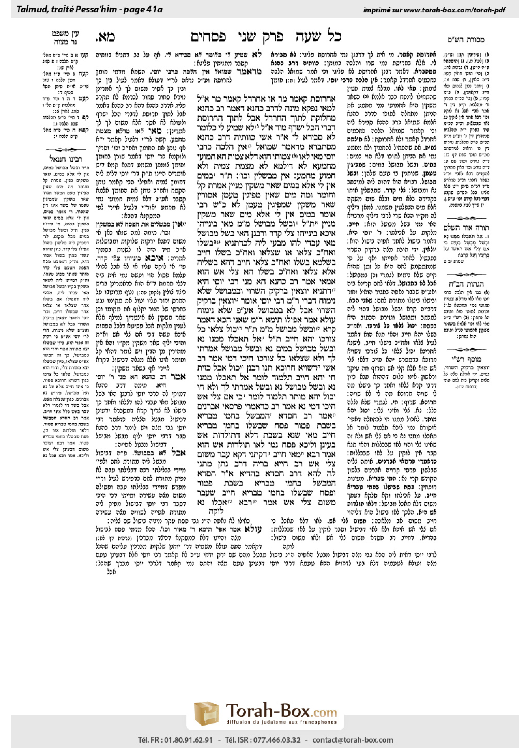 Torah-Box scan of Pesachim 41a