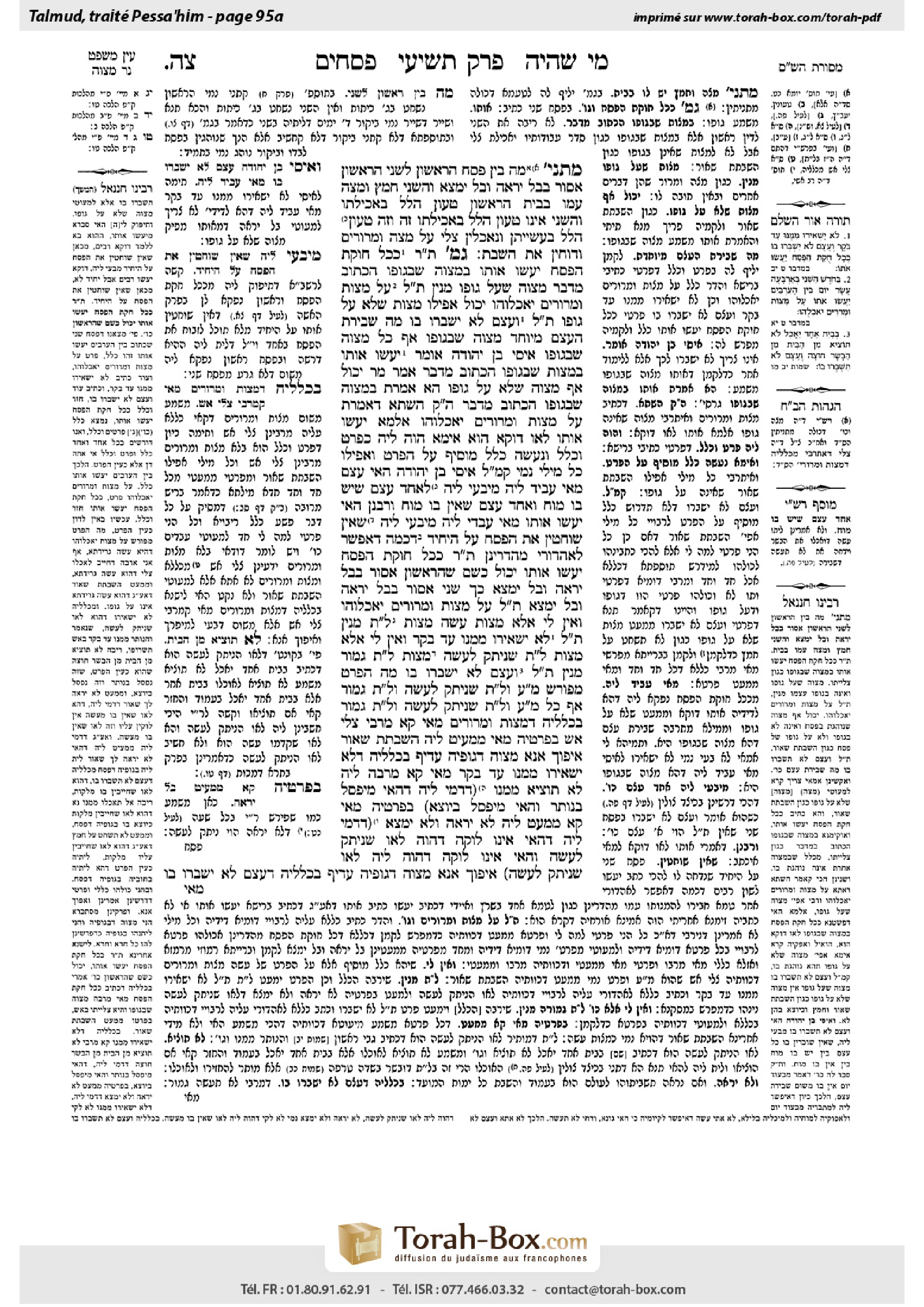 Torah-Box scan of Pesachim 95a