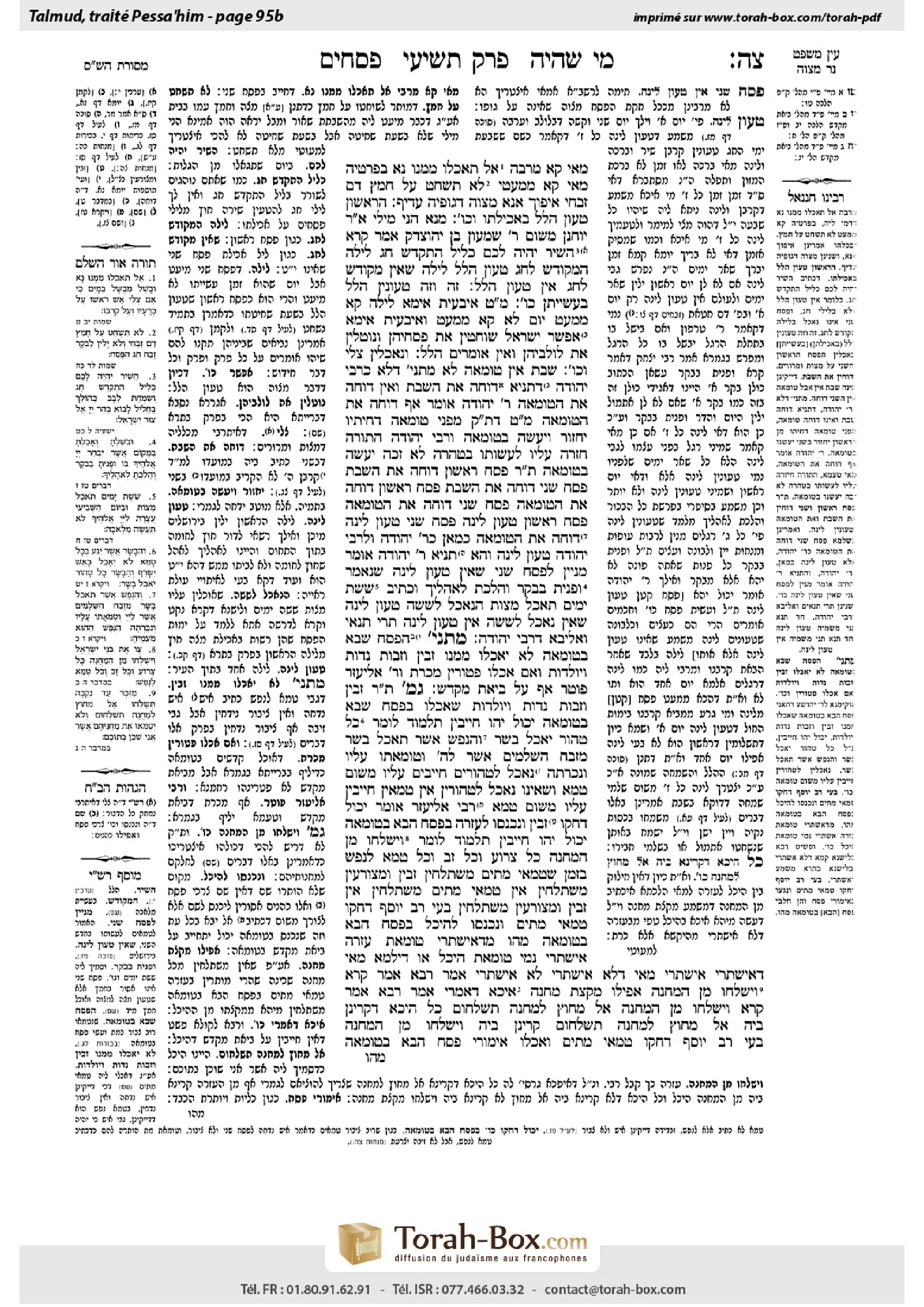 Torah-Box scan of Pesachim 95b