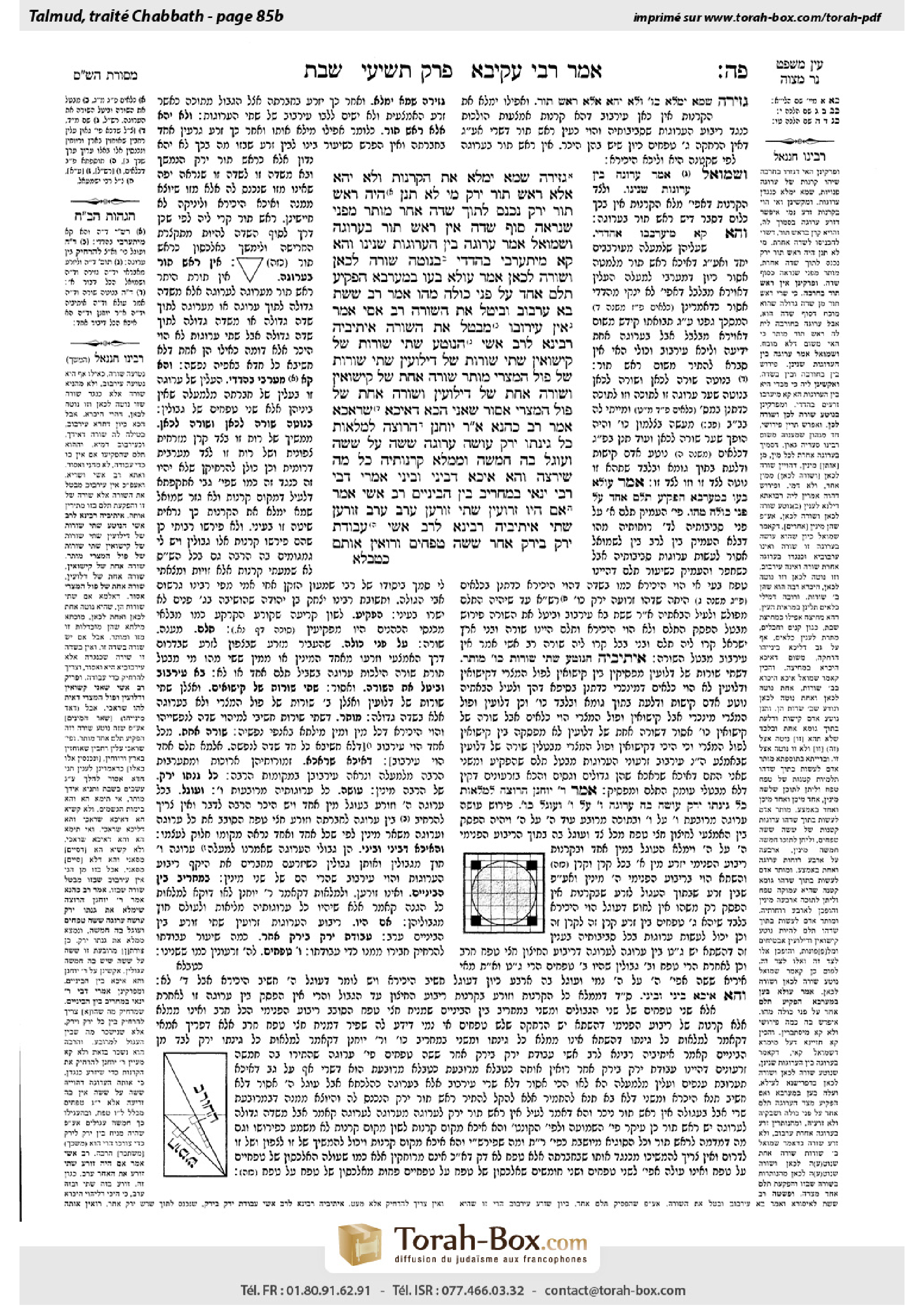 Torah-Box scan of Shabbat 85b