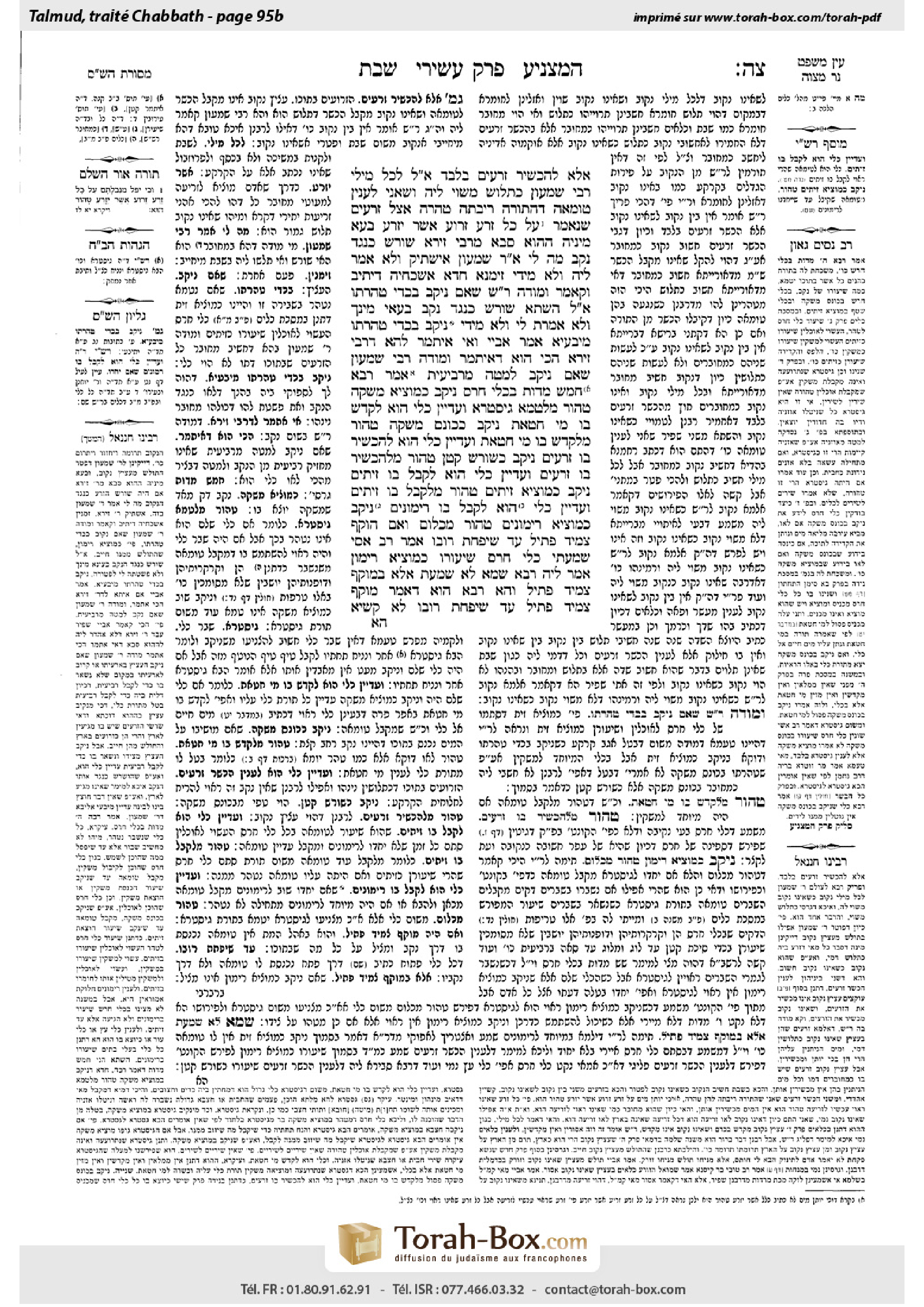 Torah-Box scan of Shabbat 95b