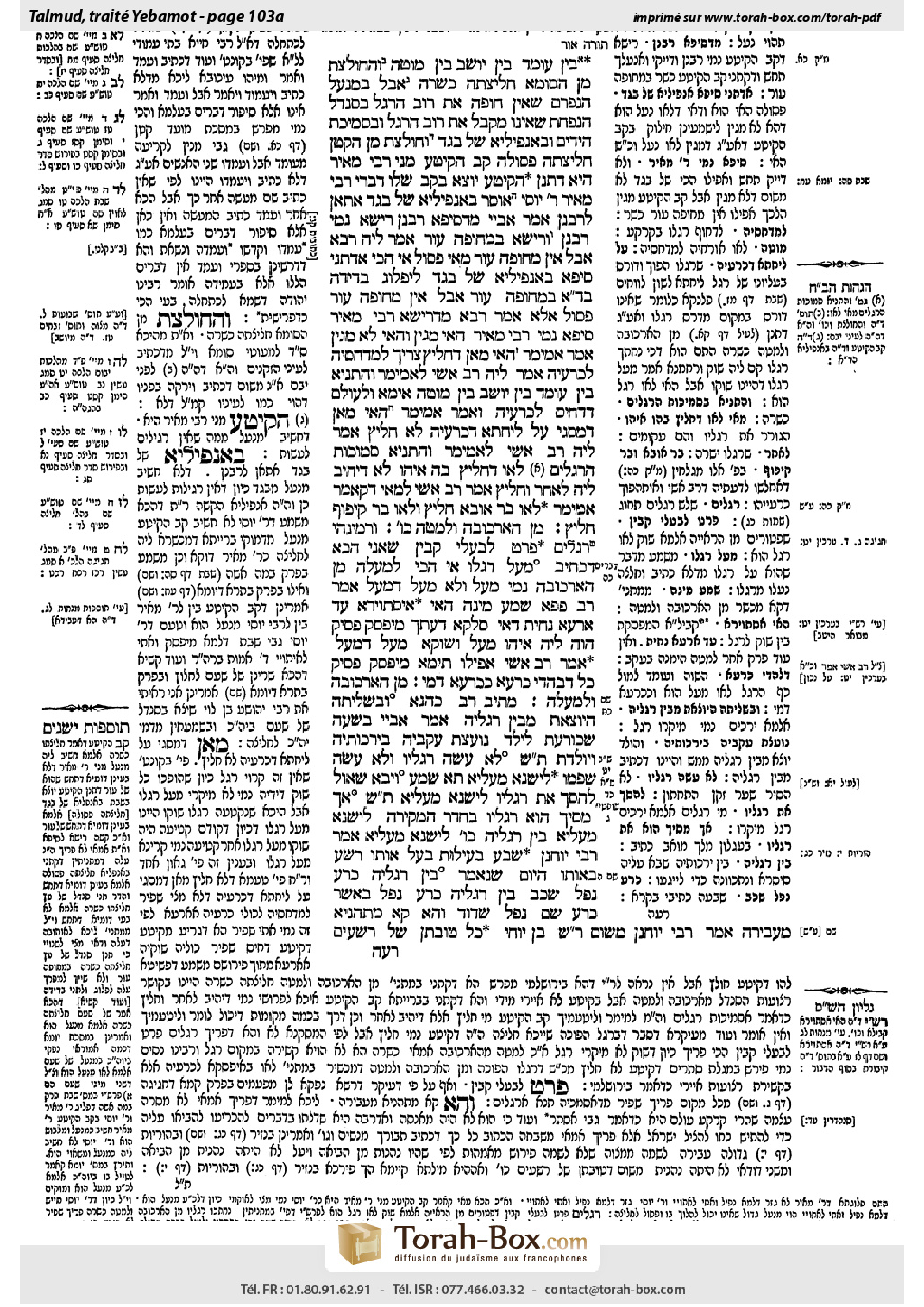 Torah-Box scan of Yevamot 103a