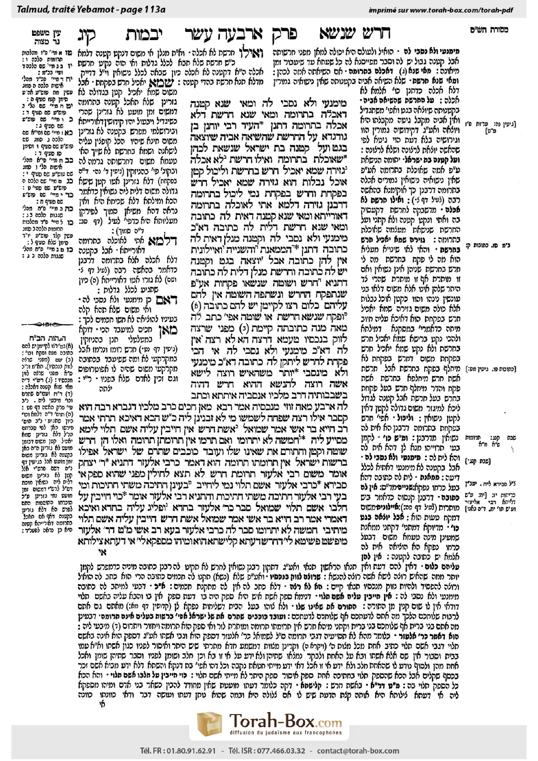 Torah-Box scan of Yevamot 113a