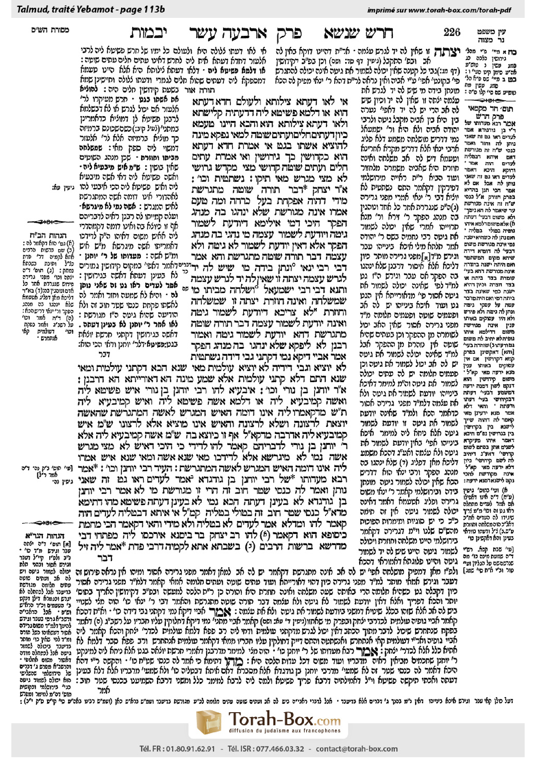 Torah-Box scan of Yevamot 113b